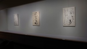s-DSC_6327